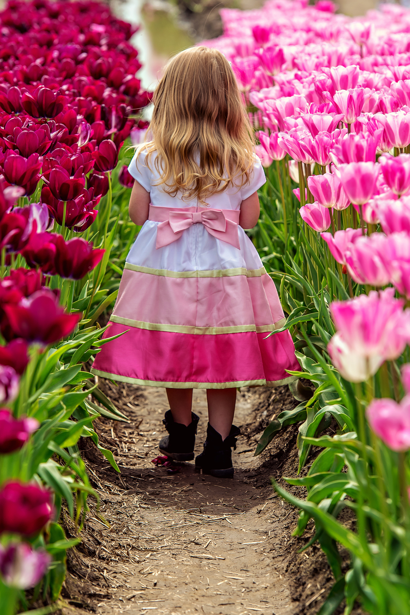 Walking through the tulips in Chilliwack, matching them perfectly in her pink and white dress.