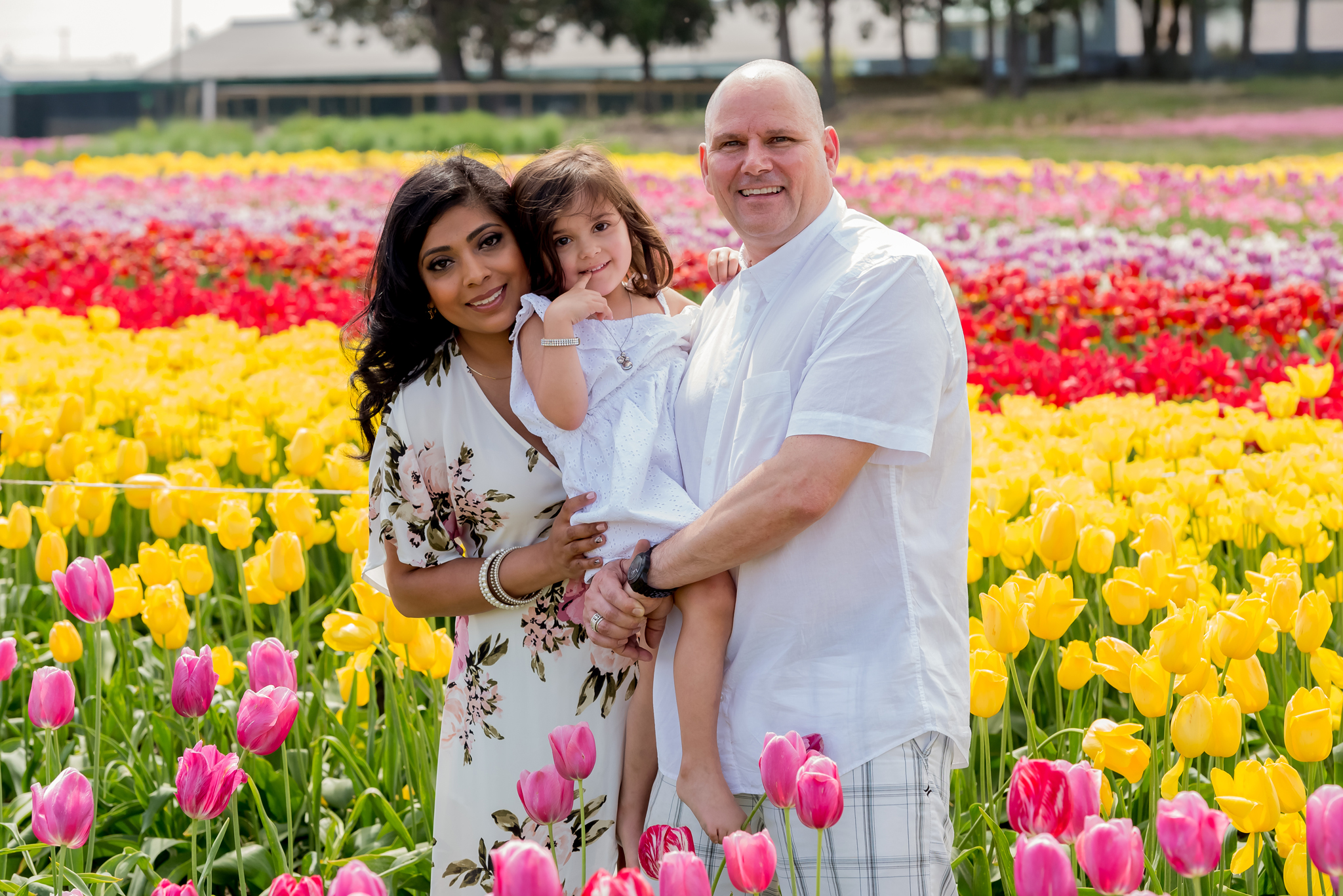 A family of three stands in a colourful field of tulips at the Chilliwack tulip festival.