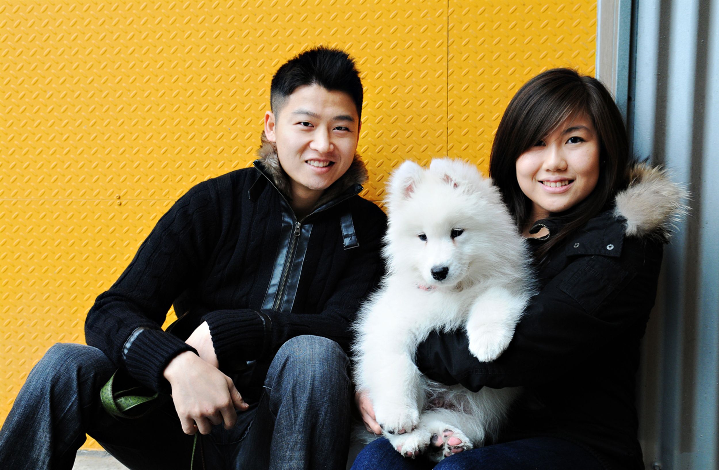 Playful dog photo at Granville Island, Amy Williams Photography